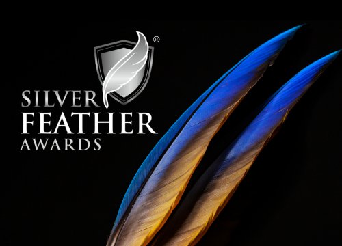 PR agency of the year Award by Silver Feather Awards 2020